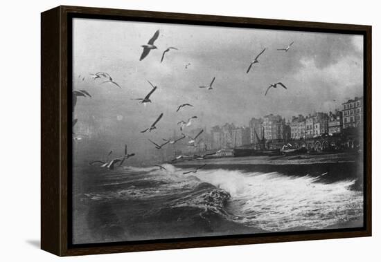 Gulls at Brighton, East Sussex, Early 20th Century-null-Framed Premier Image Canvas