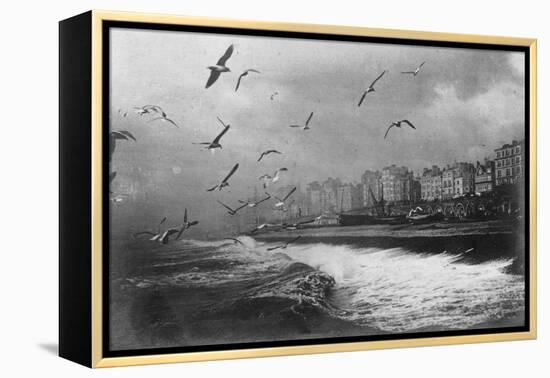 Gulls at Brighton, East Sussex, Early 20th Century-null-Framed Premier Image Canvas