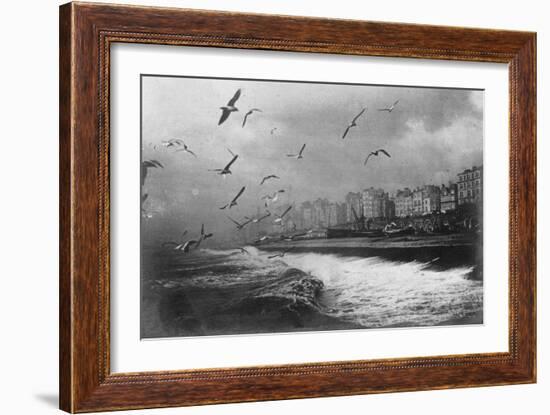 Gulls at Brighton, East Sussex, Early 20th Century-null-Framed Giclee Print