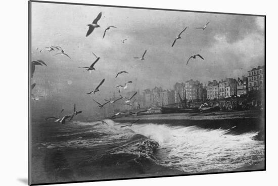 Gulls at Brighton, East Sussex, Early 20th Century-null-Mounted Giclee Print