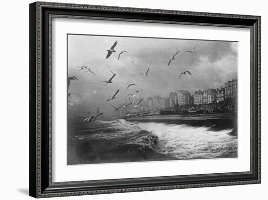 Gulls at Brighton, East Sussex, Early 20th Century-null-Framed Giclee Print