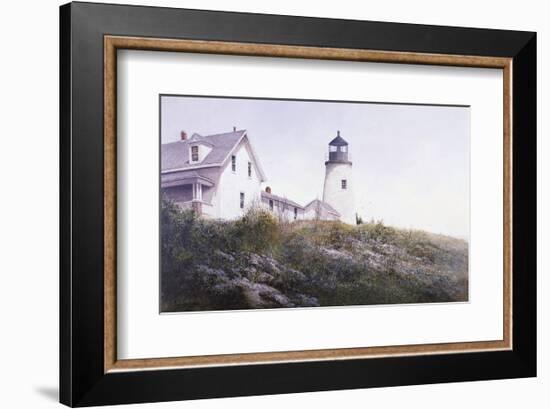 Gulls at Pemaquid-Ray Hendershot-Framed Art Print