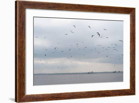 Gulls Flying over the Sea-Torsten Richter-Framed Photographic Print