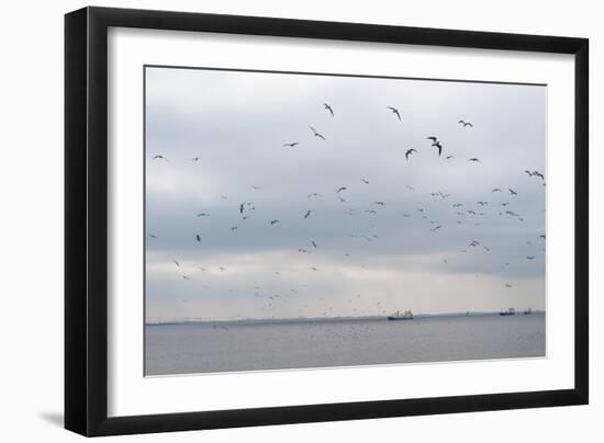 Gulls Flying over the Sea-Torsten Richter-Framed Photographic Print