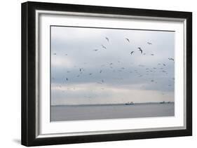 Gulls Flying over the Sea-Torsten Richter-Framed Photographic Print