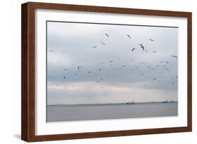 Gulls Flying over the Sea-Torsten Richter-Framed Photographic Print