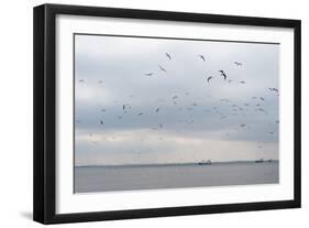 Gulls Flying over the Sea-Torsten Richter-Framed Photographic Print
