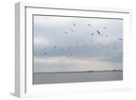 Gulls Flying over the Sea-Torsten Richter-Framed Photographic Print