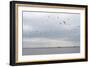 Gulls Flying over the Sea-Torsten Richter-Framed Photographic Print