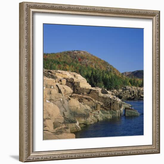 Gulls on Rocks Along the Coastline, in the Acadia National Park, Maine, New England, USA-Roy Rainford-Framed Photographic Print