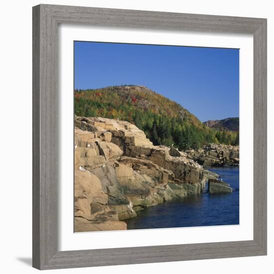 Gulls on Rocks Along the Coastline, in the Acadia National Park, Maine, New England, USA-Roy Rainford-Framed Photographic Print