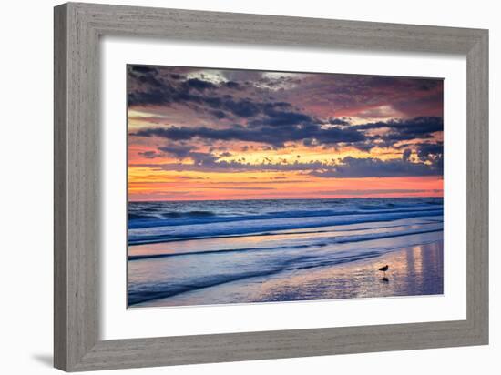 Gulls on the Shore II-Alan Hausenflock-Framed Photo