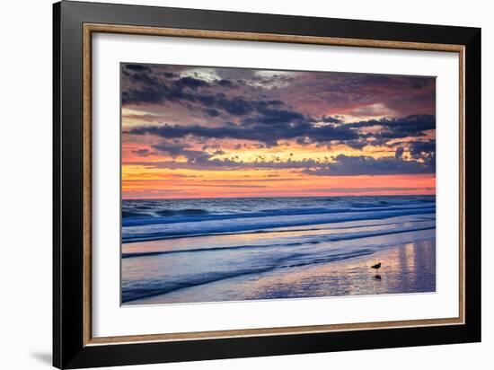 Gulls on the Shore II-Alan Hausenflock-Framed Photo