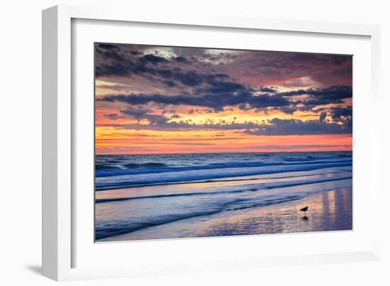 Gulls on the Shore II-Alan Hausenflock-Framed Photo