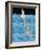 Gulls-Marie Sansone-Framed Giclee Print