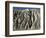 Gully Erosion in Thick Gravel Terrace, Wildrose Canyon, Death Valley, California, USA-Tony Waltham-Framed Photographic Print