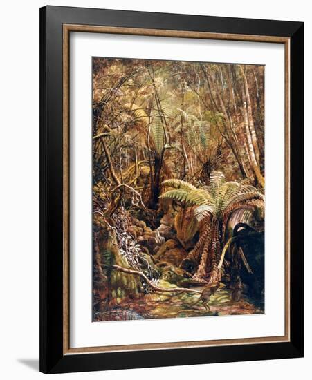 Gully in the Tasmanian Jungle-Charles E Gordon Frazer-Framed Art Print