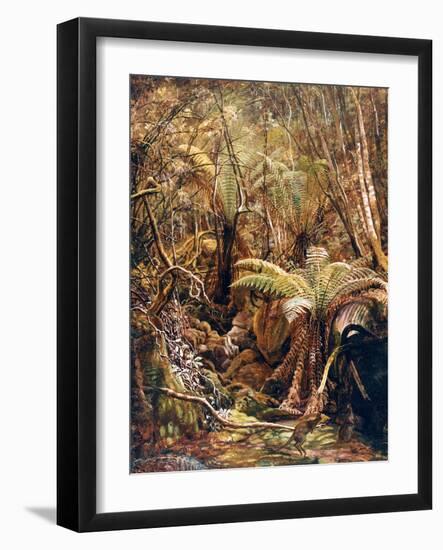 Gully in the Tasmanian Jungle-Charles E Gordon Frazer-Framed Art Print
