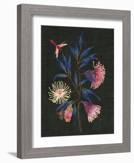 Gum Nuts I-Melissa Wang-Framed Art Print