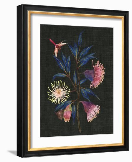 Gum Nuts I-Melissa Wang-Framed Art Print