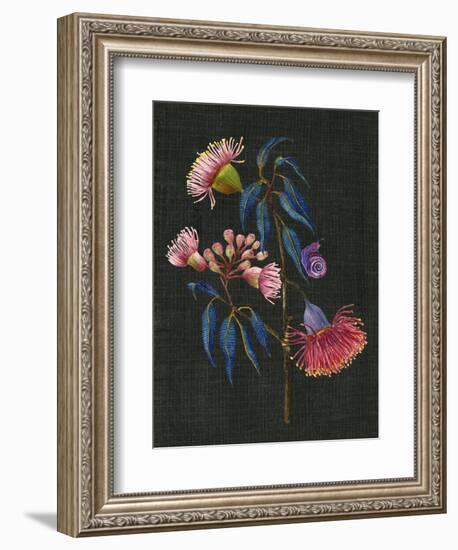 Gum Nuts II-Melissa Wang-Framed Premium Giclee Print