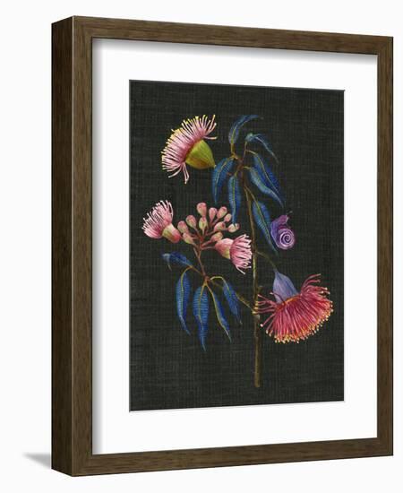 Gum Nuts II-Melissa Wang-Framed Premium Giclee Print