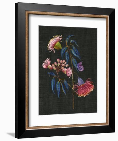 Gum Nuts II-Melissa Wang-Framed Premium Giclee Print