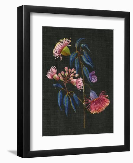 Gum Nuts II-Melissa Wang-Framed Premium Giclee Print