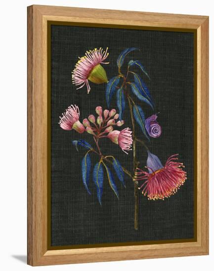 Gum Nuts II-Melissa Wang-Framed Stretched Canvas