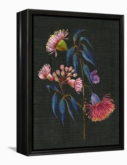 Gum Nuts II-Melissa Wang-Framed Stretched Canvas