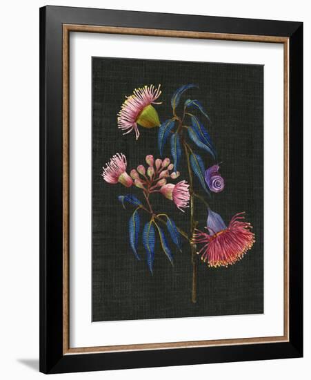 Gum Nuts II-Melissa Wang-Framed Art Print