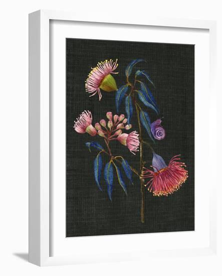 Gum Nuts II-Melissa Wang-Framed Art Print