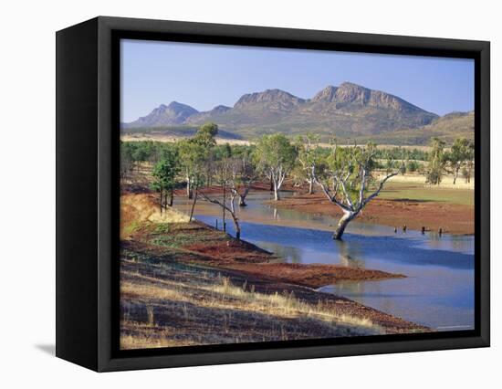 Gum Trees in a Billabong, Flinders Range National Park, South Australia, Australia-Robert Francis-Framed Premier Image Canvas