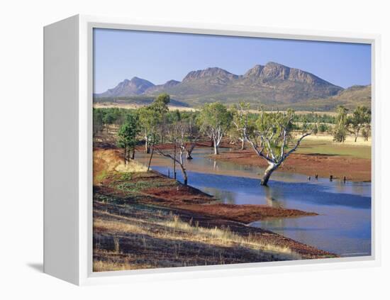 Gum Trees in a Billabong, Flinders Range National Park, South Australia, Australia-Robert Francis-Framed Premier Image Canvas