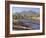 Gum Trees in a Billabong, Flinders Range National Park, South Australia, Australia-Robert Francis-Framed Photographic Print