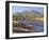 Gum Trees in a Billabong, Flinders Range National Park, South Australia, Australia-Robert Francis-Framed Photographic Print