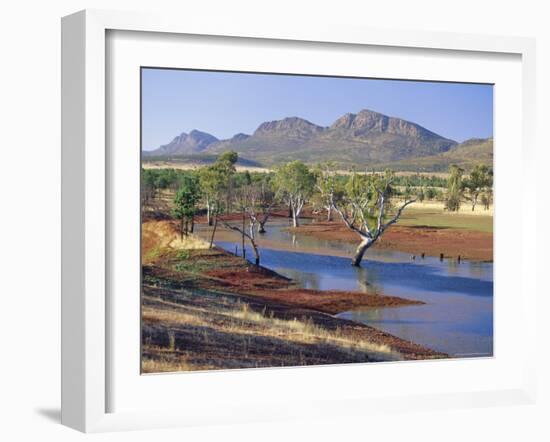 Gum Trees in a Billabong, Flinders Range National Park, South Australia, Australia-Robert Francis-Framed Photographic Print