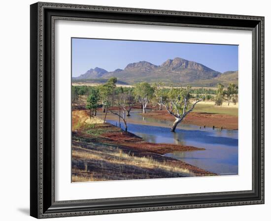 Gum Trees in a Billabong, Flinders Range National Park, South Australia, Australia-Robert Francis-Framed Photographic Print