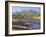 Gum Trees in a Billabong, Flinders Range National Park, South Australia, Australia-Robert Francis-Framed Photographic Print