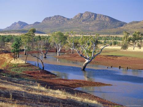 Gum Trees in a Billabong, Flinders Range National Park, South Australia,  Australia' Photographic Print - Robert Francis | Art.com