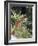 Gumusluk, Near Bodrum, Anatolia, Turkey-R H Productions-Framed Photographic Print