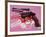 Gun, c.1981-82 (Black, White, Red on Pink)-Andy Warhol-Framed Giclee Print