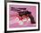 Gun, c.1981-82 (Black, White, Red on Pink)-Andy Warhol-Framed Giclee Print