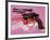 Gun, c.1981-82 (Black, White, Red on Pink)-Andy Warhol-Framed Giclee Print