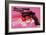 Gun, c. 1981-82 (black, white, red on pink)-Andy Warhol-Framed Art Print