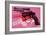 Gun, c. 1981-82 (black, white, red on pink)-Andy Warhol-Framed Art Print