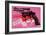 Gun, c. 1981-82 (black, white, red on pink)-Andy Warhol-Framed Art Print