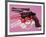 Gun, c. 1981-82 (black, white, red on pink)-Andy Warhol-Framed Art Print