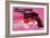 Gun, c.1981-82-Andy Warhol-Framed Art Print