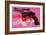 Gun, c.1981-82-Andy Warhol-Framed Art Print